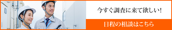 今すぐ調査に来てほしい